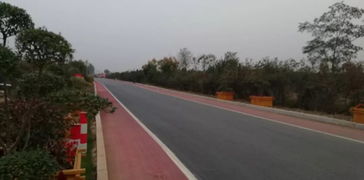 以道路建設(shè)為引擎，驅(qū)動基礎(chǔ)設(shè)施、營商環(huán)境與環(huán)保協(xié)同提升的工程管理實(shí)踐